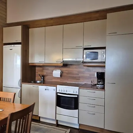 Länsirinne F 24 - 2br In Center * Ruka